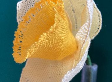 Lace daffodil 