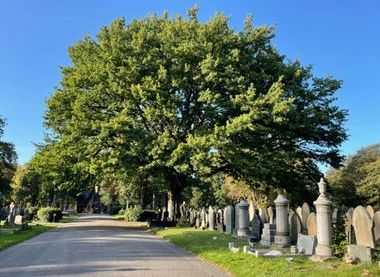 Friends of St Helens Cemetery