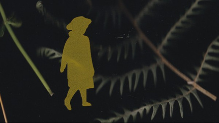 Graphic of a person silhouette against a dark background with a giant fern illustration.