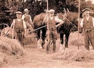 Harvest time in Howden