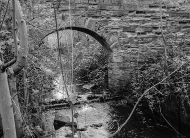 The disused Barnsley canal is inextricably linked to our story.