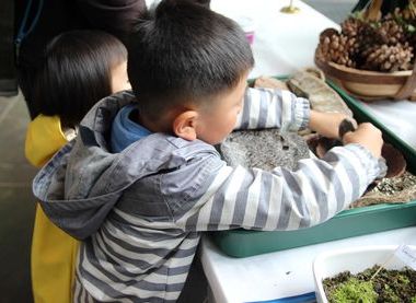 Oldham Microscopical and Natural History Society