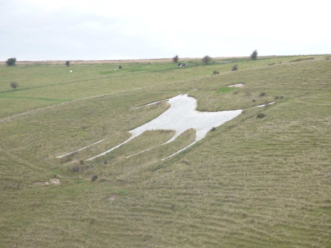 The Alton Barnes White Horse - a chalk figure of a horse on a hillside