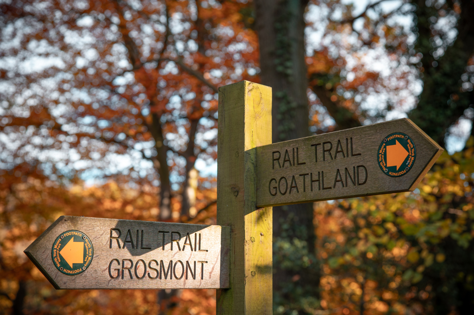 Top of a wooden footpath signpost in autumnal woods.