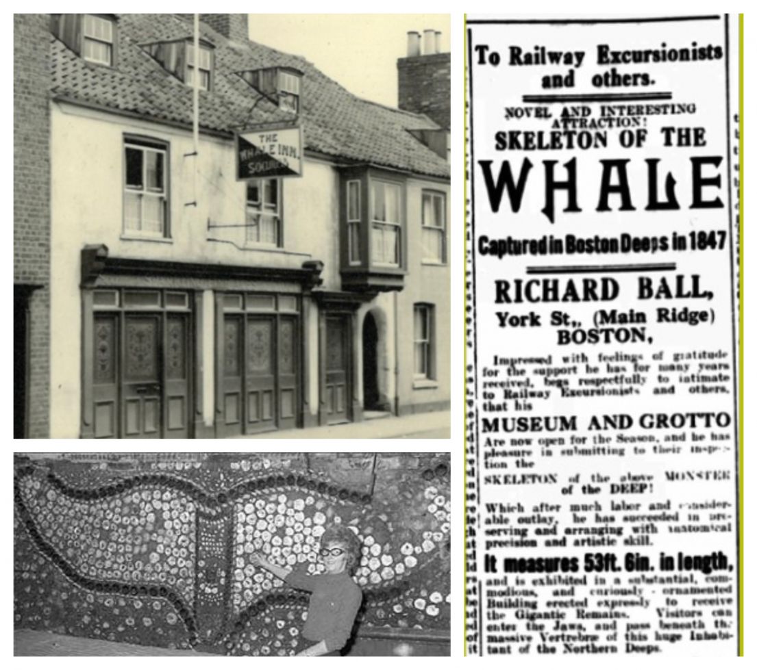 Three image (UL) picture of The Whale Pub, (LL)A women stood by artwork of a Whale tale. (R) A newspaper about the skeleton of the whale.