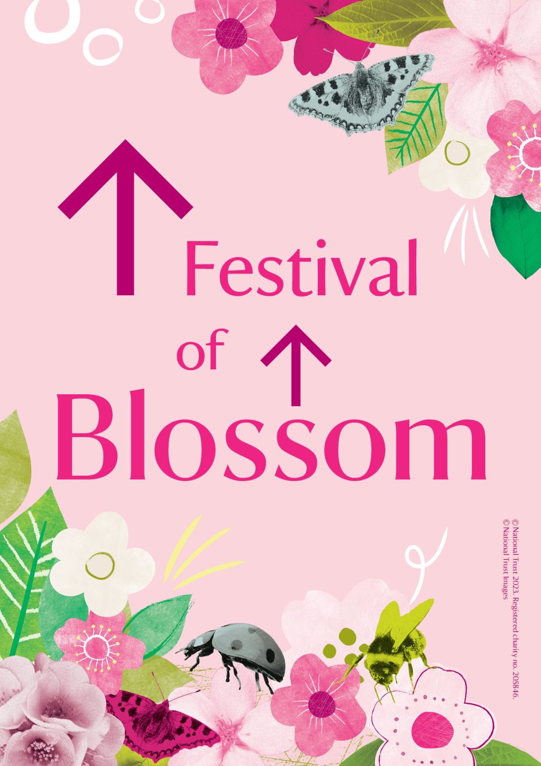 A pink poster with flowers. The words read 'Festival of Blossom'