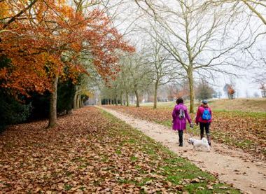 National Trust Images/ Arnhel de Serra