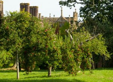 ©National Trust Images/Chris Davies