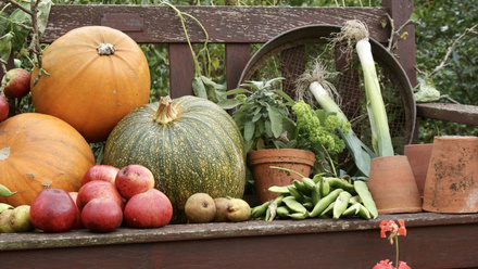 Various vegetables and fruits staged on a dark brown wooden bench.