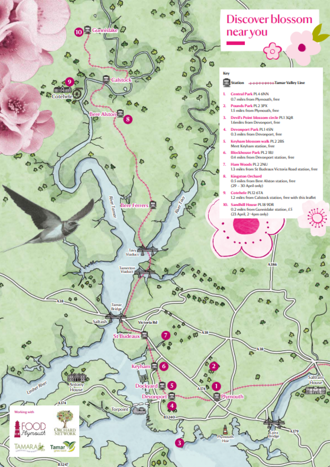 An illustrated map of showing local blossom locations in Plymouth.