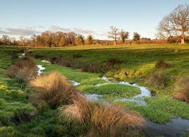 National Trust Images/ Justin Minns