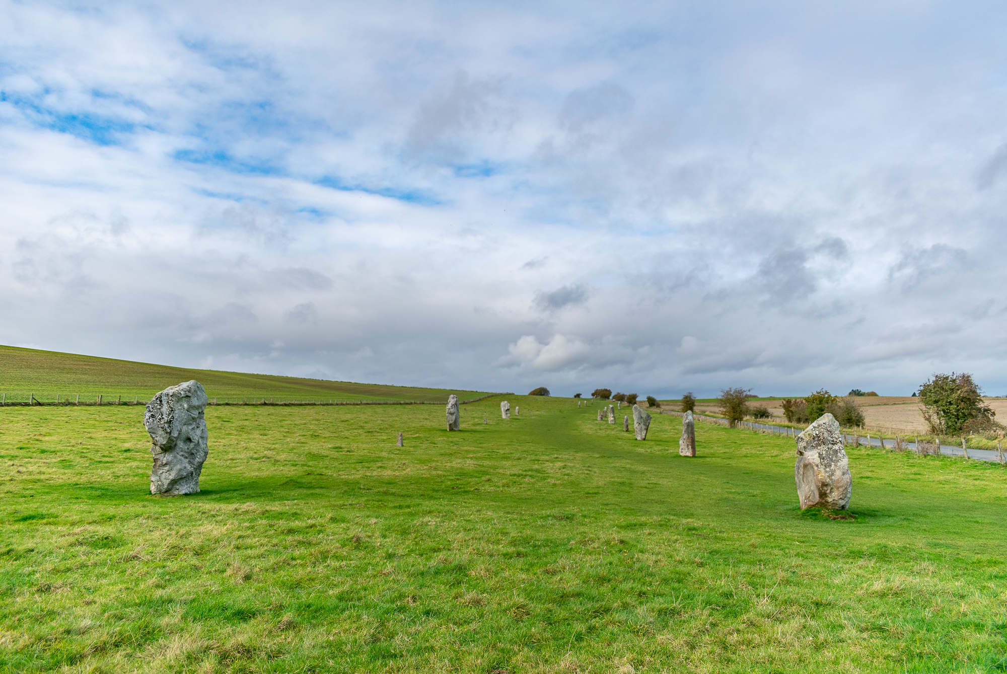 Pre-historic standing stones in flat green landscape.