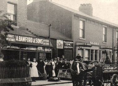 Thomas Bamford was a market gardener on the Ashton Freehold estate. 