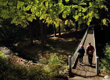 National Trust Images / Bec Hughes 