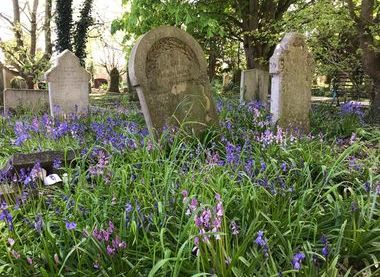 Cottenham Dissenters' Cemetery