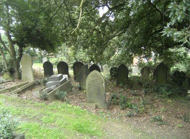 Graves shielded by oak and holly.