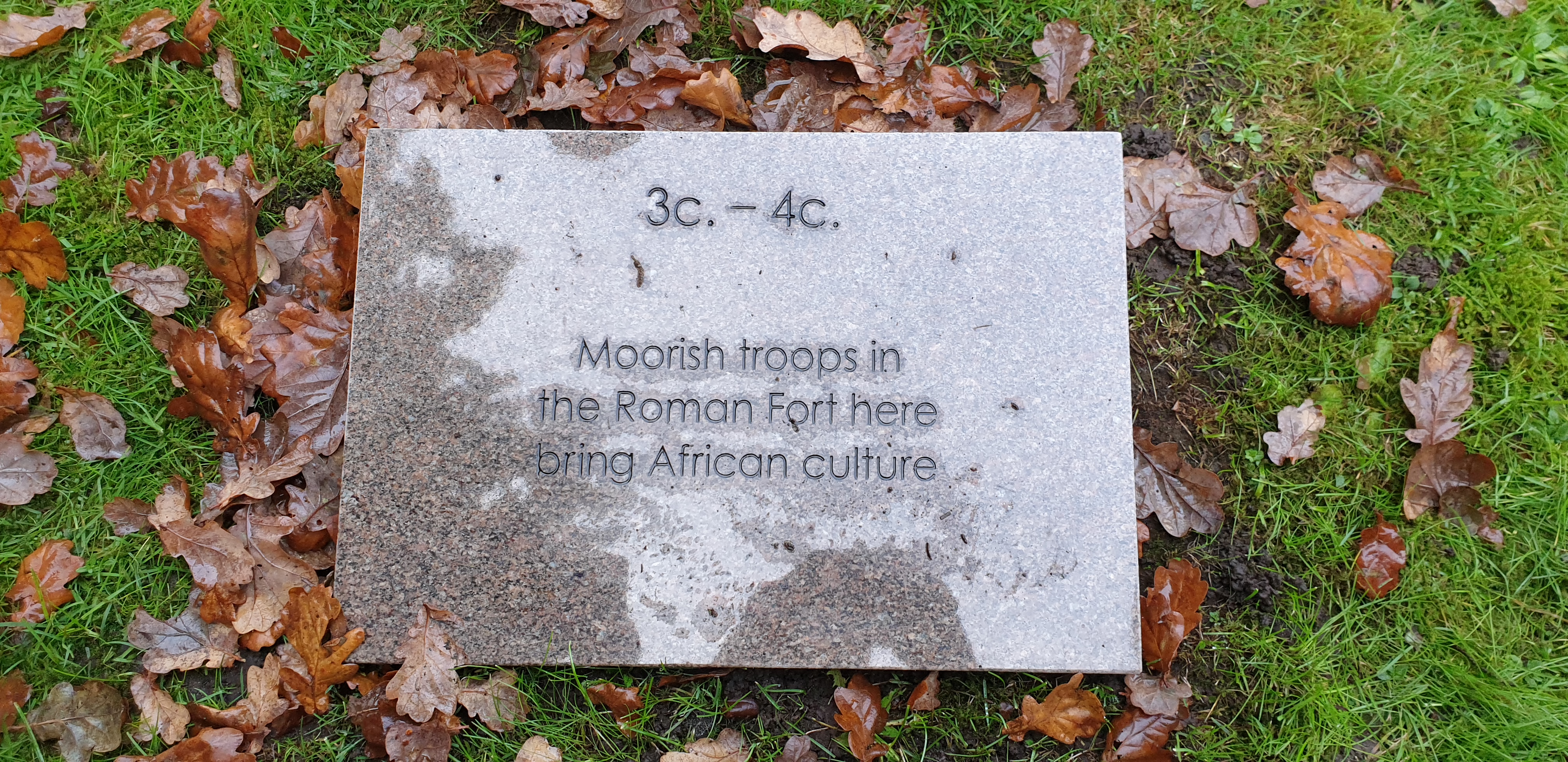 Rectangular stone memorial slab on grass covered with autumn leaves.